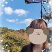 ヒメ日記 2025/11/16 14:06 投稿 マミ ルパン