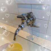 ヒメ日記 2025/11/20 06:25 投稿 マミ ルパン