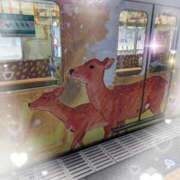 マミ 行ってきます ルパン