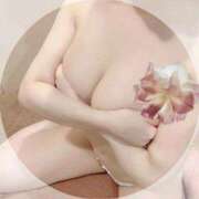 ヒメ日記 2025/10/28 17:00 投稿 イバラ ルパン