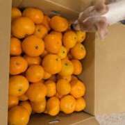 ヒメ日記 2024/12/12 02:11 投稿 Milk~みるく~ Elegance（エレガンス）(大阪)