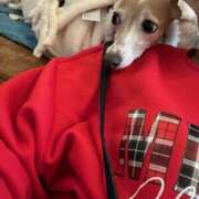 ヒメ日記 2024/12/31 17:09 投稿 Milk~みるく~ Elegance（エレガンス）(大阪)