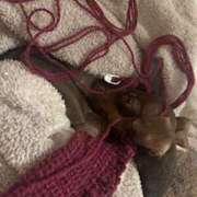 ヒメ日記 2025/02/06 20:43 投稿 Milk~みるく~ Elegance（エレガンス）(大阪)