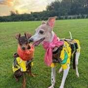 ヒメ日記 2025/07/20 23:43 投稿 Milk~みるく~ Elegance（エレガンス）(大阪)