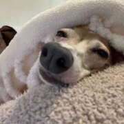 ヒメ日記 2025/10/02 21:00 投稿 Milk~みるく~ Elegance（エレガンス）(大阪)