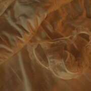 ヒメ日記 2026/01/10 22:43 投稿 Milk~みるく~ Elegance（エレガンス）(大阪)