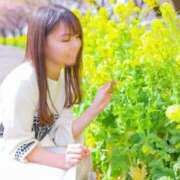 智依 【おあずけ】ねっっ 女々艶 厚木店