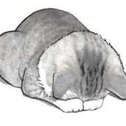 ヒメ日記 2024/12/12 09:17 投稿 滑河こころ ハプニング痴漢電車or全裸入室