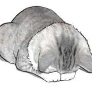 ヒメ日記 2025/03/26 11:17 投稿 滑河こころ ハプニング痴漢電車or全裸入室