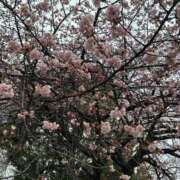 ヒメ日記 2025/03/29 01:37 投稿 滑河こころ ハプニング痴漢電車or全裸入室