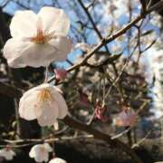 ヒメ日記 2025/03/30 00:37 投稿 滑河こころ ハプニング痴漢電車or全裸入室