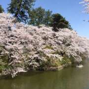 ヒメ日記 2025/04/08 10:39 投稿 滑河こころ ハプニング痴漢電車or全裸入室