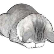 ヒメ日記 2025/08/17 15:07 投稿 滑河こころ ハプニング痴漢電車or全裸入室