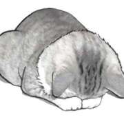 ヒメ日記 2025/12/13 13:47 投稿 滑河こころ ハプニング痴漢電車or全裸入室