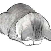 ヒメ日記 2025/12/20 14:47 投稿 滑河こころ ハプニング痴漢電車or全裸入室