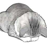 ヒメ日記 2025/12/28 01:37 投稿 滑河こころ ハプニング痴漢電車or全裸入室