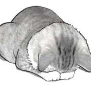 ヒメ日記 2026/02/23 15:07 投稿 滑河こころ ハプニング痴漢電車or全裸入室