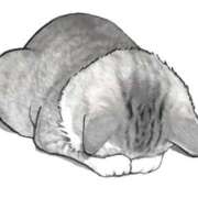 滑河こころ 🙇‍♀️🙇‍♀️ ハプニング痴漢電車or全裸入室