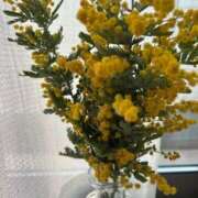 ヒメ日記 2026/03/15 11:11 投稿 滑河こころ ハプニング痴漢電車or全裸入室