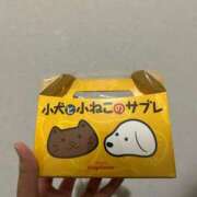 ヒメ日記 2026/04/19 00:47 投稿 滑河こころ ハプニング痴漢電車or全裸入室
