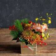 ヒメ日記 2026/01/04 00:28 投稿 ☆さやか☆ ◆プラウディア◆AAA級素人娘在籍店