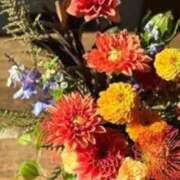 ヒメ日記 2026/01/17 01:08 投稿 ☆さやか☆ ◆プラウディア◆AAA級素人娘在籍店