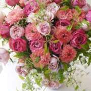 ヒメ日記 2026/01/27 16:38 投稿 ☆さやか☆ ◆プラウディア◆AAA級素人娘在籍店