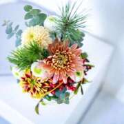 ヒメ日記 2026/01/28 18:48 投稿 ☆さやか☆ ◆プラウディア◆AAA級素人娘在籍店