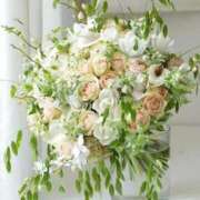 ヒメ日記 2026/02/14 22:27 投稿 ☆さやか☆ ◆プラウディア◆AAA級素人娘在籍店