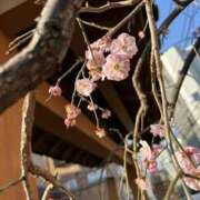 ヒメ日記 2026/03/02 12:06 投稿 ☆さやか☆ ◆プラウディア◆AAA級素人娘在籍店