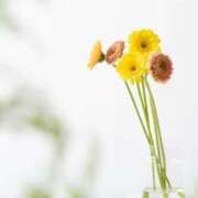 ヒメ日記 2026/03/11 23:28 投稿 ☆さやか☆ ◆プラウディア◆AAA級素人娘在籍店