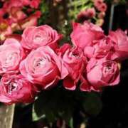 ヒメ日記 2026/03/15 22:20 投稿 ☆さやか☆ ◆プラウディア◆AAA級素人娘在籍店