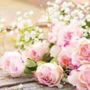 ヒメ日記 2026/03/23 22:30 投稿 ☆さやか☆ ◆プラウディア◆AAA級素人娘在籍店