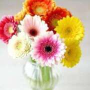 ヒメ日記 2026/03/24 16:34 投稿 ☆さやか☆ ◆プラウディア◆AAA級素人娘在籍店