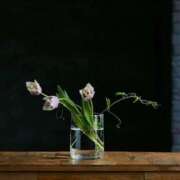 ヒメ日記 2026/03/28 22:58 投稿 ☆さやか☆ ◆プラウディア◆AAA級素人娘在籍店