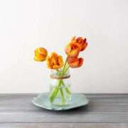 ヒメ日記 2026/03/30 22:30 投稿 ☆さやか☆ ◆プラウディア◆AAA級素人娘在籍店