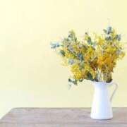 ヒメ日記 2026/04/11 01:30 投稿 ☆さやか☆ ◆プラウディア◆AAA級素人娘在籍店