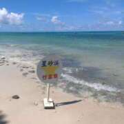 ヒメ日記 2025/04/18 11:45 投稿 みよ姫 螢