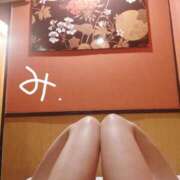 ヒメ日記 2025/04/25 10:01 投稿 みよ姫 螢