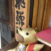 ヒメ日記 2025/05/19 10:05 投稿 みよ姫 螢