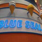 ヒメ日記 2025/06/30 13:13 投稿 みよ姫 螢