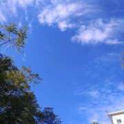 ヒメ日記 2025/07/09 08:18 投稿 みよ姫 螢