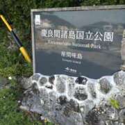 ヒメ日記 2025/07/11 12:03 投稿 みよ姫 螢