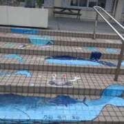 ヒメ日記 2025/07/24 12:31 投稿 みよ姫 螢