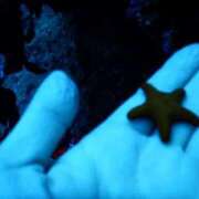 ヒメ日記 2025/07/24 14:45 投稿 みよ姫 螢