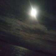 ヒメ日記 2025/07/26 16:45 投稿 みよ姫 螢