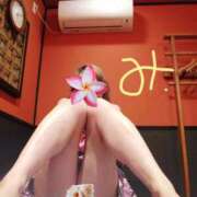 ヒメ日記 2025/07/28 18:02 投稿 みよ姫 螢