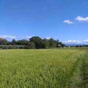 ヒメ日記 2025/08/22 17:01 投稿 みよ姫 螢