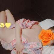 ヒメ日記 2025/08/28 09:10 投稿 みよ姫 螢