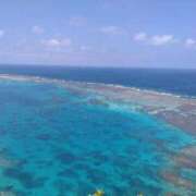 ヒメ日記 2025/09/03 12:27 投稿 みよ姫 螢